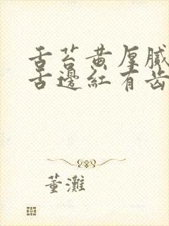 舌苔黄厚腻舌尖舌边红有齿痕