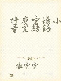 什么官场小说好看完结的