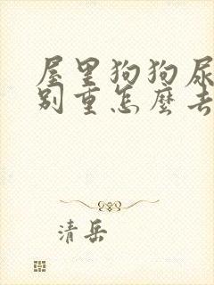 屋里狗狗尿味特别重怎么去除