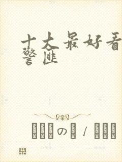 十大最好看美剧警匪