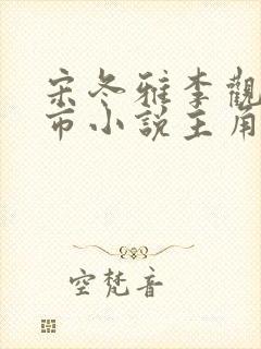 宋冬雅李观棋都市小说主角