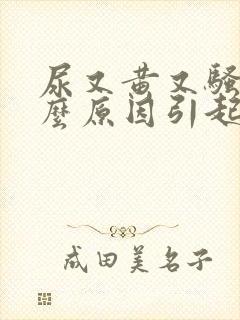 尿又黄又骚是什么原因引起的封面