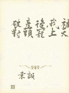 破产后,我被死对头宠上天 小说阅读