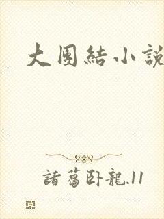 大团结小说阅读