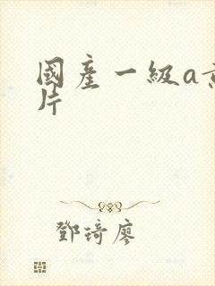 国产一级a黄色片