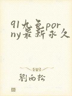 91九色porny最新永久地址
