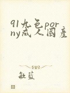 91九色porny成人国产