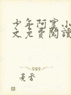 少年阿宾小说全文免费阅读目录封面