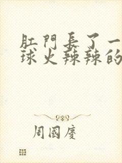 肛门长了一个肉球火辣辣的疼