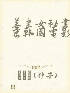 善良女秘书的秘密韩国电影封面