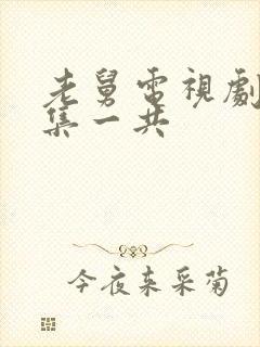 老舅电视剧多少集一共