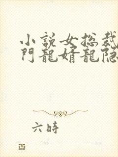 小说女总裁的上门龙婿龙隐