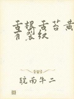 舌根舌苔黄厚腻有裂纹