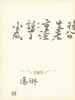 小说:重生后,成了渣老公的白月光