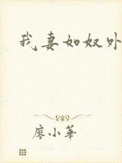 我妻如奴外篇封面
