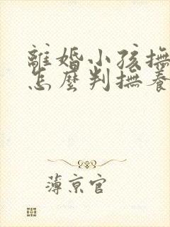 离婚小孩抚养权怎么判抚养费封面