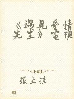 《遇见爱情的利先生》电视剧