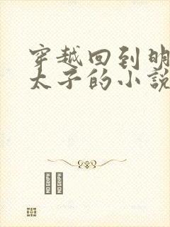 穿越回到明朝当太子的小说封面