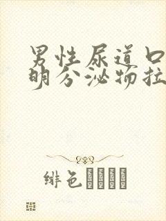 男性尿道口流透明分泌物拉丝