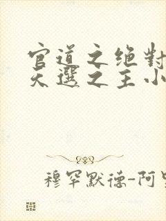 官道之绝对权力天选之主小说免费看