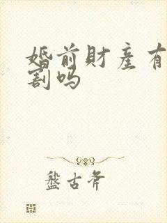 婚前财产有权分割吗封面