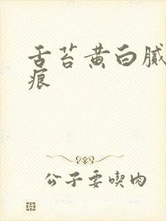 舌苔黄白腻有齿痕