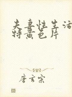 夫妻性生活一级特黄色片封面