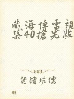 藏海传电视剧全集40抢先版封面