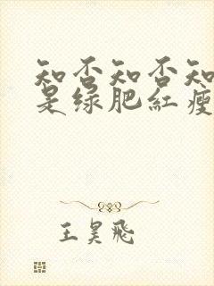 知否知否知否应是绿肥红瘦哪个季节封面