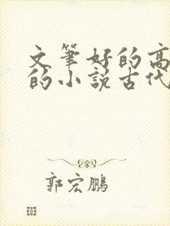 文笔好的高质量的小说古代言情
