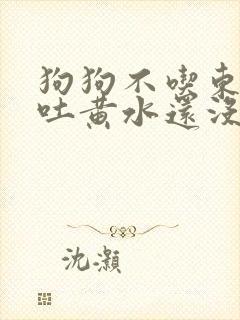 狗狗不吃东西还吐黄水还没精神