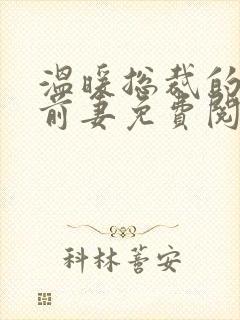 温暖总裁的替身前妻免费阅读