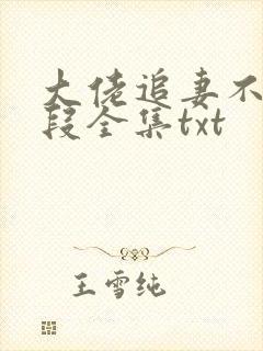 大佬追妻不择手段全集txt封面