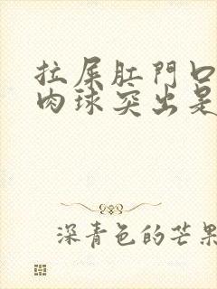 拉屎肛门口有个肉球突出是怎么回事封面