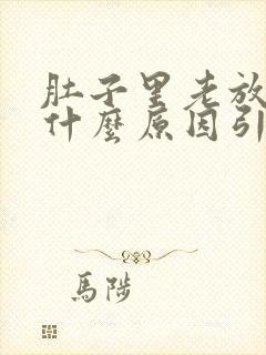 肚子里老放屁是什么原因引起的