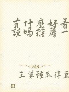 有什么好看的小说吗推荐一下