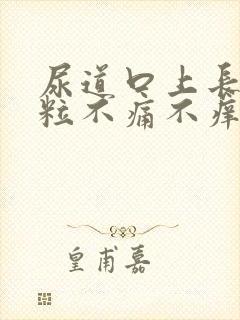 尿道口上长小肉粒不痛不痒是怎么回事