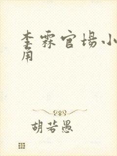 李霖官场小说主角