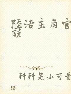 陆浩主角官场小说封面