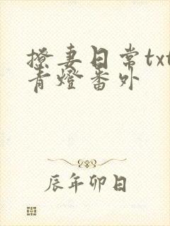 撩妻日常txt青灯番外