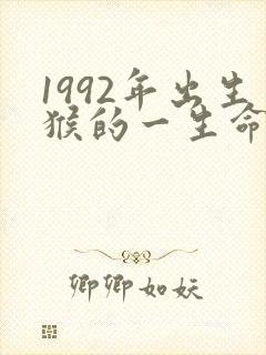1992年出生猴的一生命运