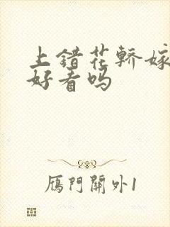 上错花轿嫁对郎好看吗