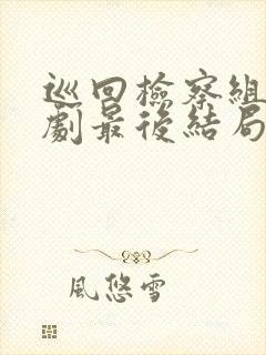 巡回检察组电视剧最后结局