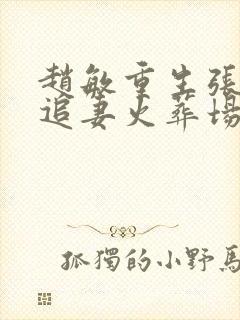 赵敏重生张无忌追妻火葬场小说封面