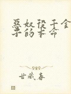 恶奴役千金是王子的本命