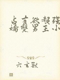 占有欲超强的病娇双男主小说