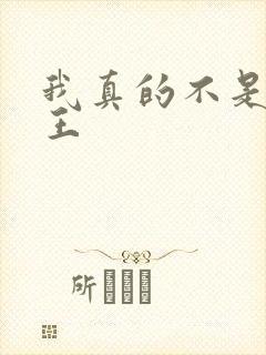 我真的不是大魔王封面