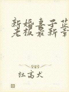 新婚妻子芷珊菜老板最新章节更