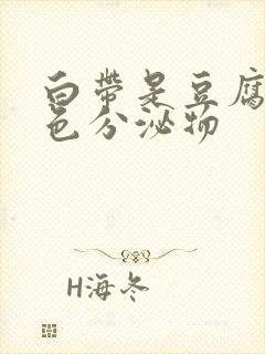 白带是豆腐渣黄色分泌物