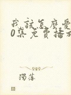 我该怎么爱你40集免费播放